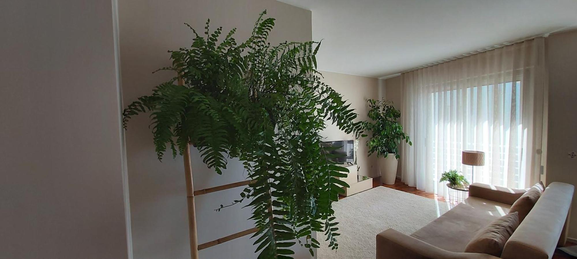 Jardim Na Praia Matosinhos  Kamer foto